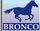 Bronco Bronco