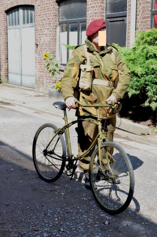 velopliantuk02.jpg