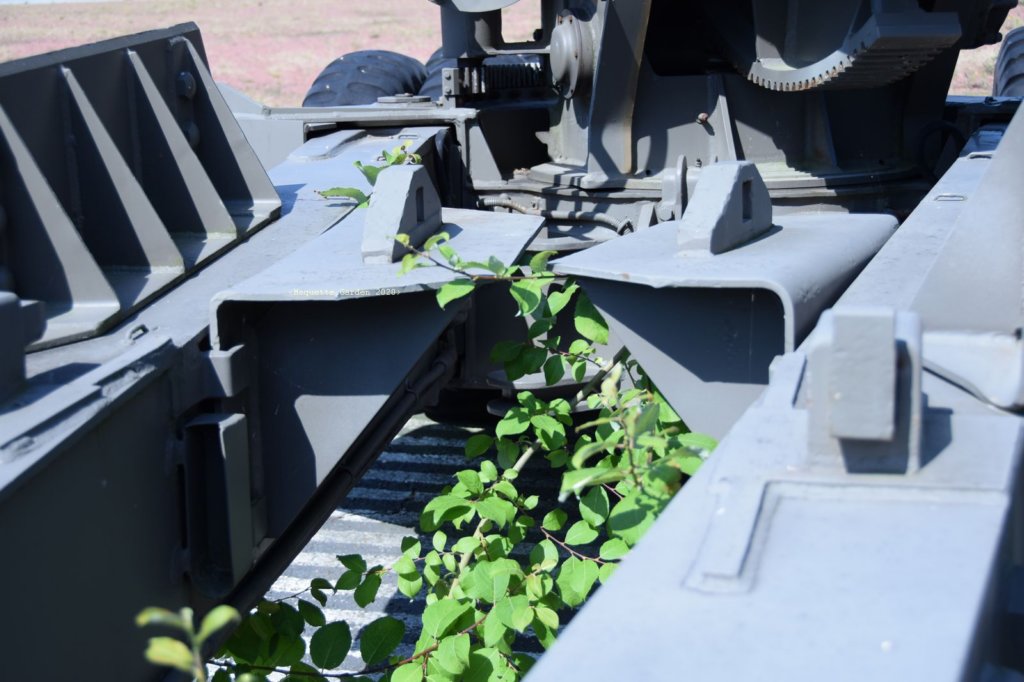 canon155longtom11.jpg