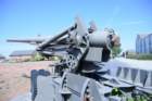 canon155longtom20_small.jpg
