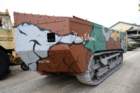 stchamond14_small.jpg