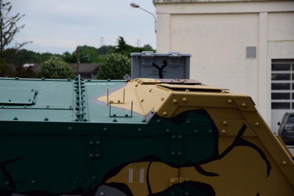stchamond18.jpg