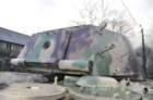 tigreii29_small.jpg