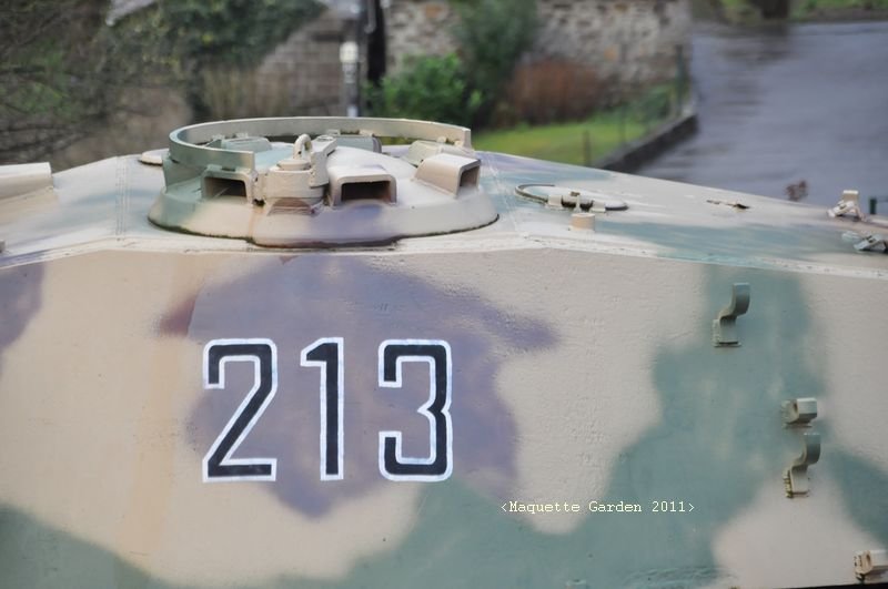 tigreii30.jpg