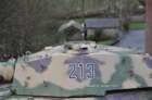 tigreii31_small.jpg