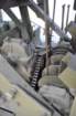 wardlafrance36_small.jpg
